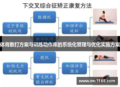 体育散打方案与训练动作库的系统化管理与优化实施方案